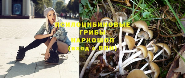 соль курить ск Алексин