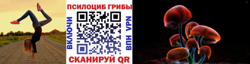 Галлюциногенные грибы Psilocybine cubensis mega Осташков